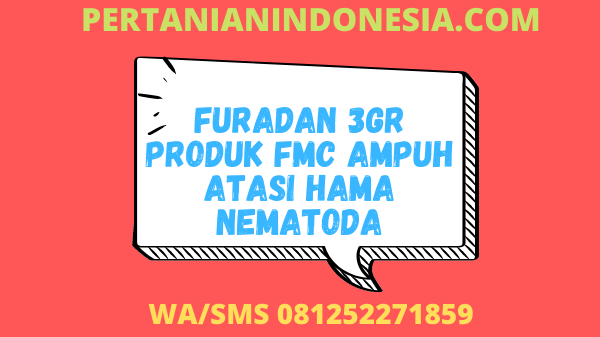 Furadan 3GR Produk FMC Ampuh Atasi Hama Nematoda